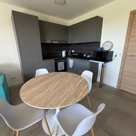 Grand T2 Standing Avec Jardin Agosta Apartment Albitreccia