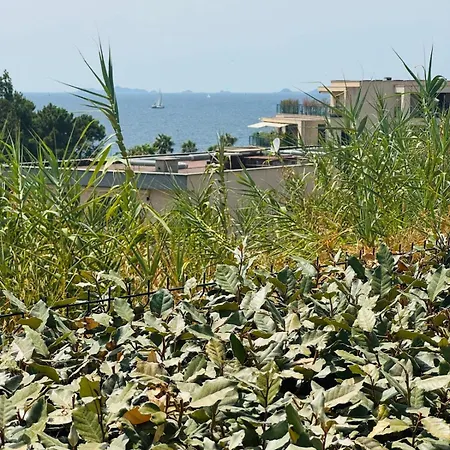 Apartment Grand T2 Standing Avec Jardin Agosta
